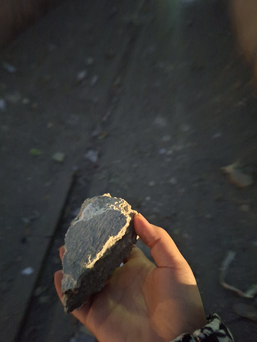 حُماه tweet media