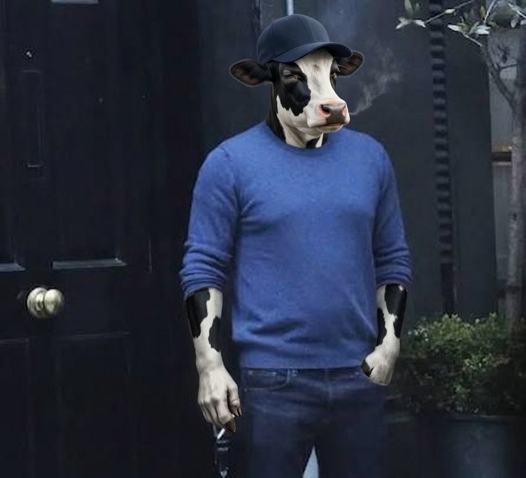 Ben 🇻🇦 tweet media