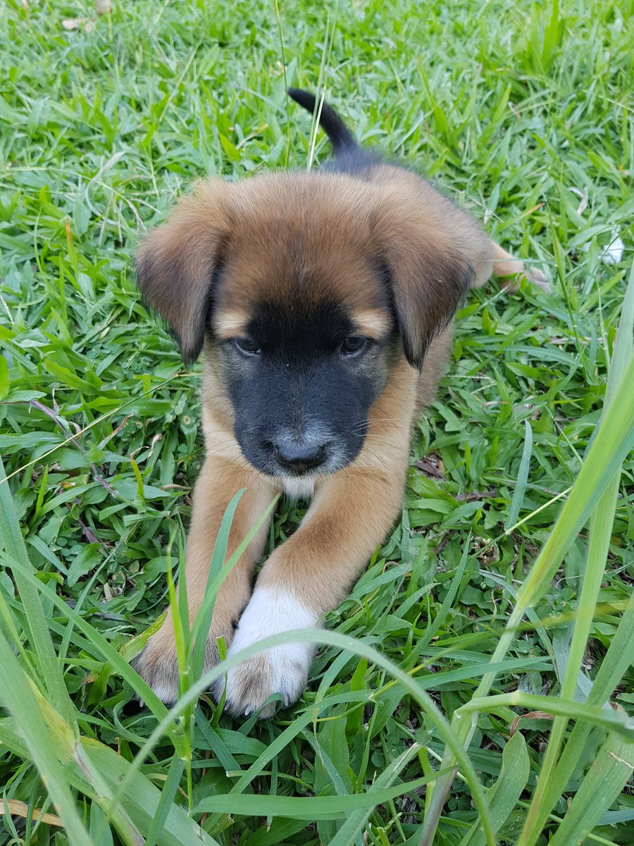 ✝️คือทุกครั้งที่รักของเธอส่องใจ ฉันมีปลายทาง🌟 tweet media