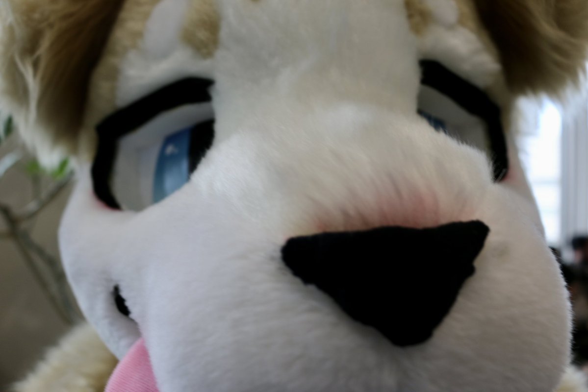 たなこ〜🔰 tweet media