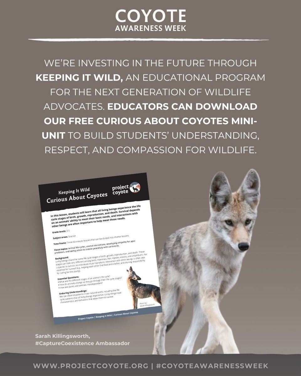 Project Coyote tweet media