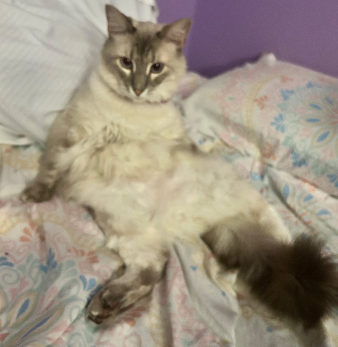 bilbrr - CEO OF ⚙️⚡️ tweet media