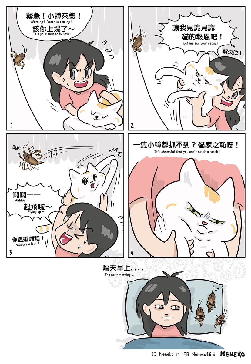 猫の恩返し (´༎ຶ۝༎ຶ)