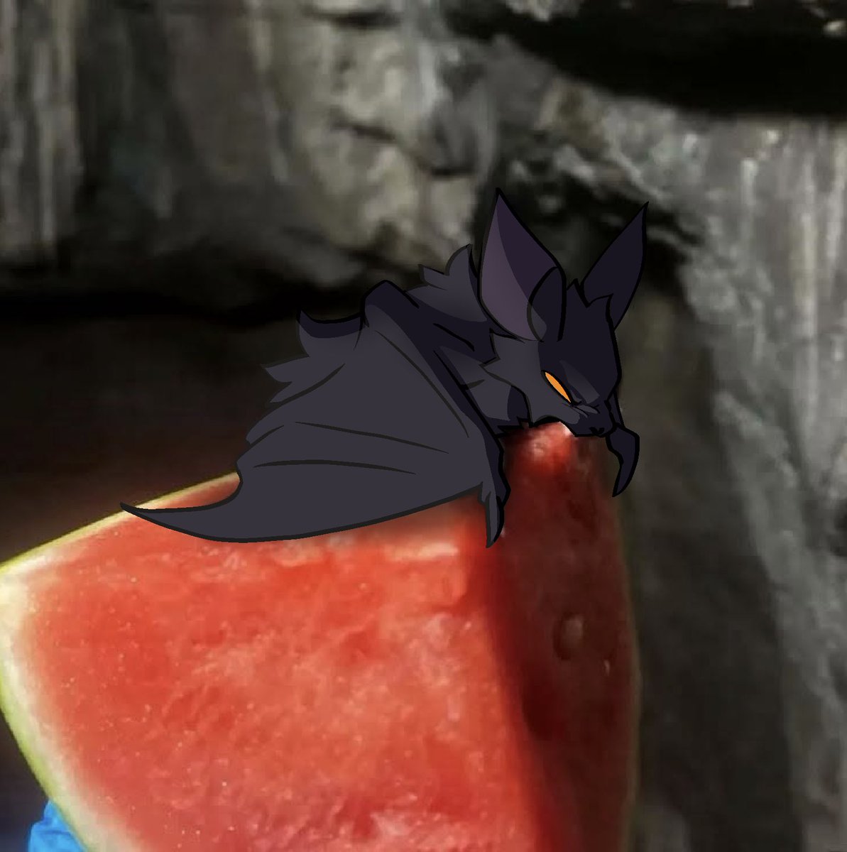 Night! 🦴 tweet media