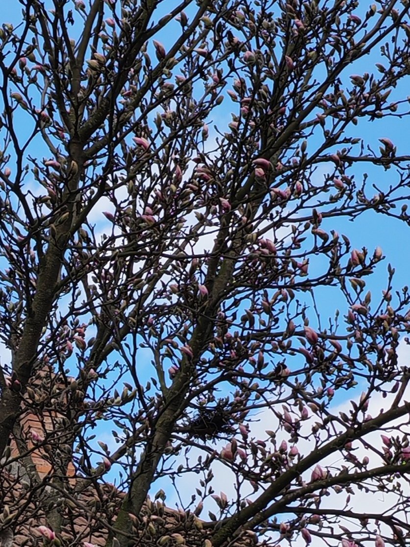 Clau81975💙💛❤️ tweet media