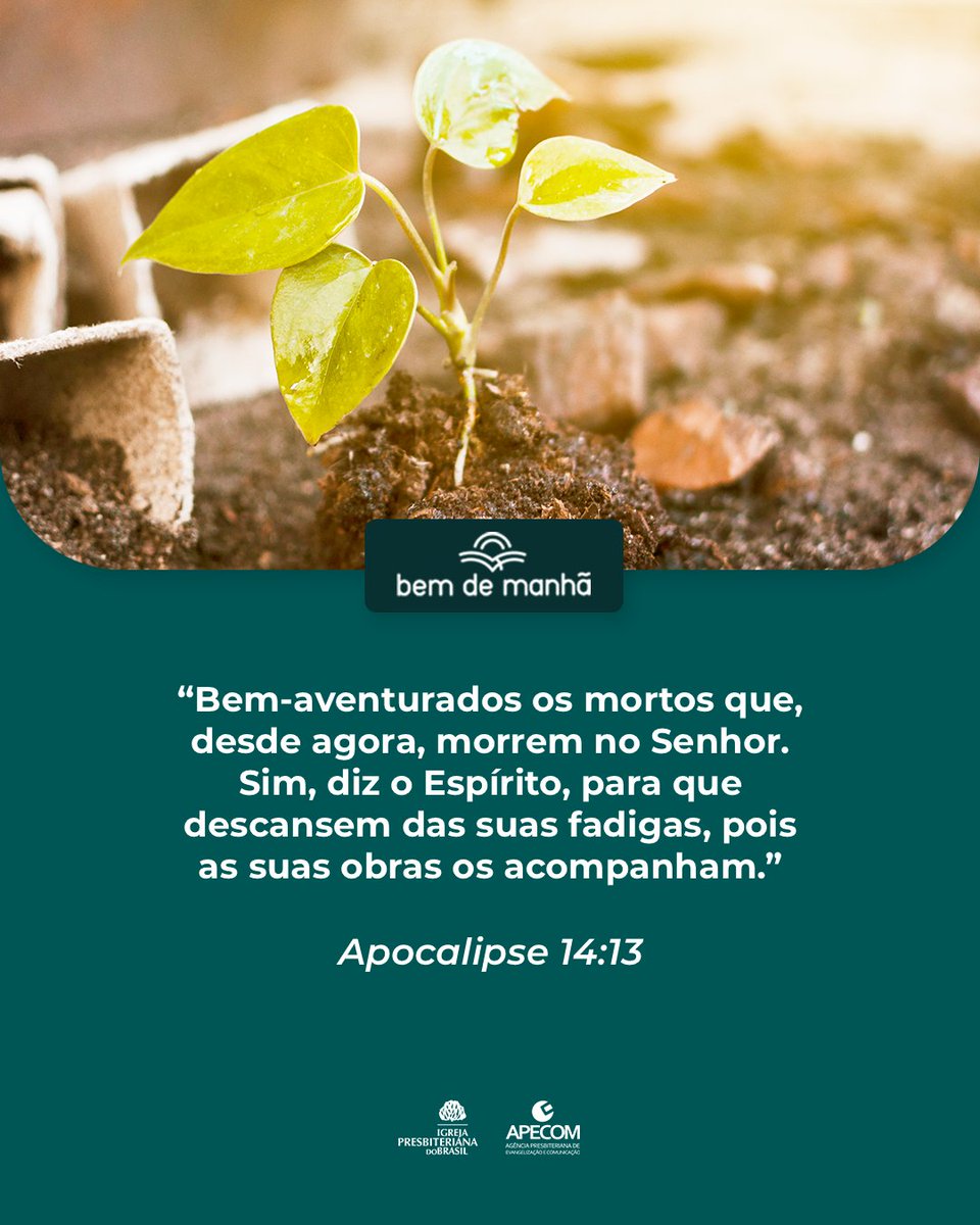 Igreja Presbiteriana tweet media