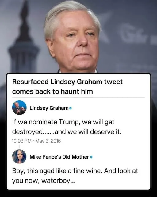 Tom Williams tweet media