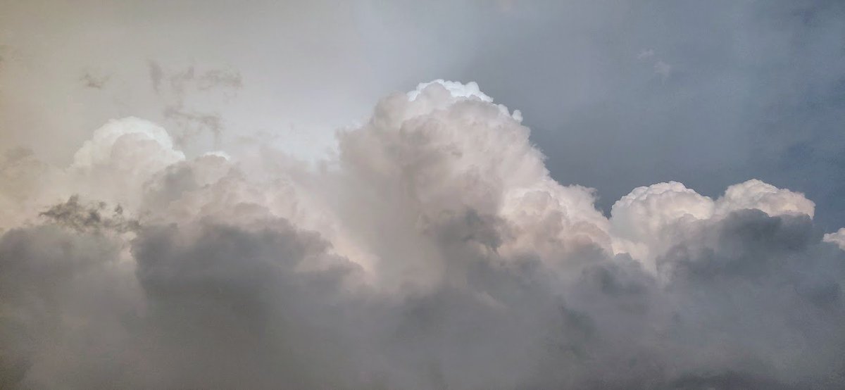 Peter Corman tweet media