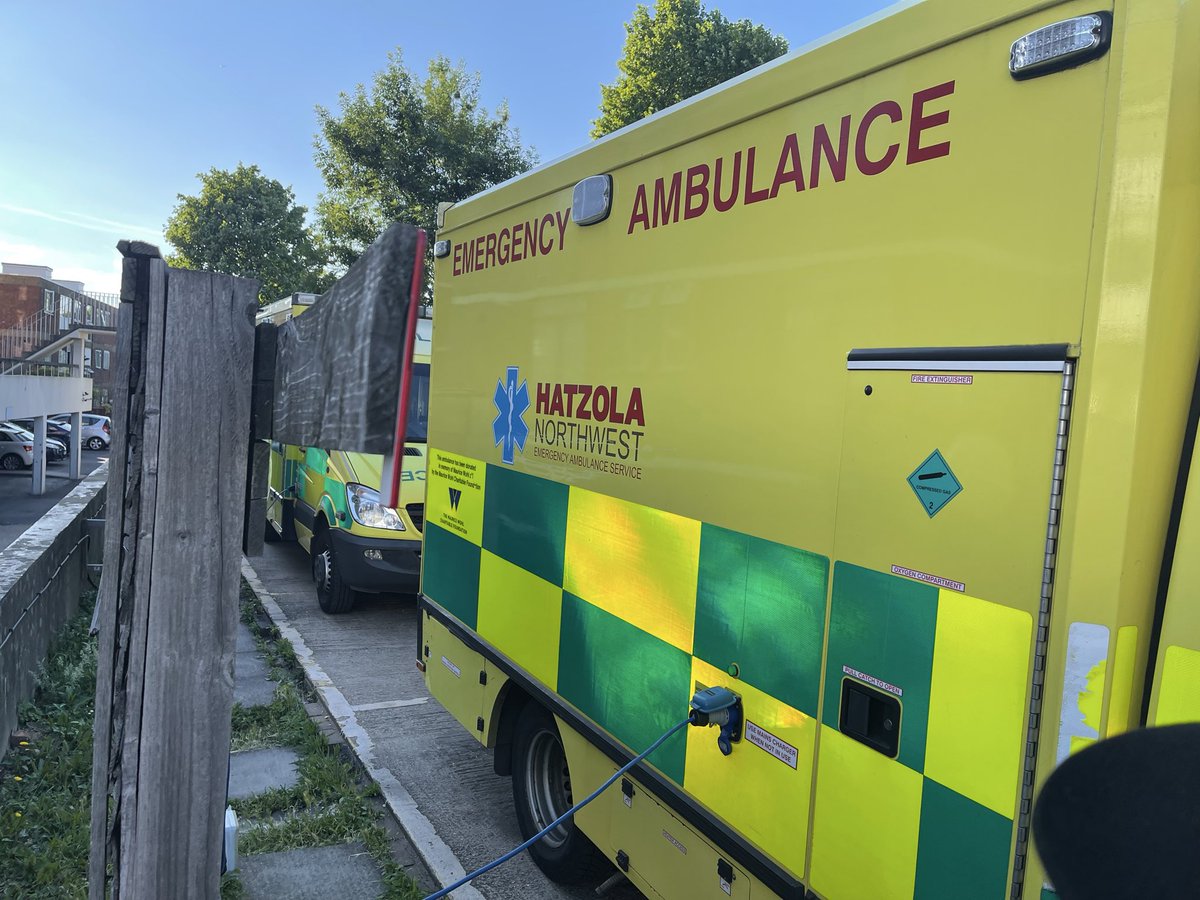 Yehiel M. Kalish tweet media