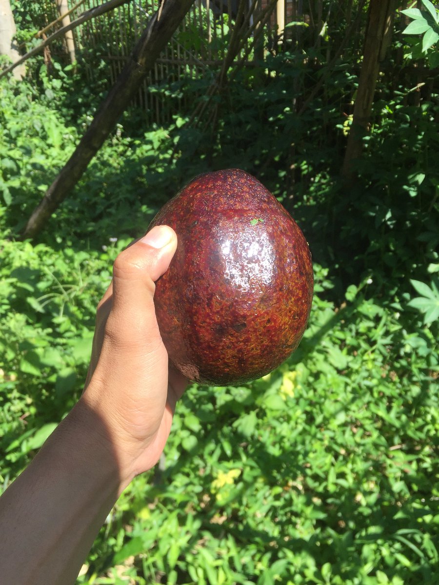 Bukan Anak Alter tweet media