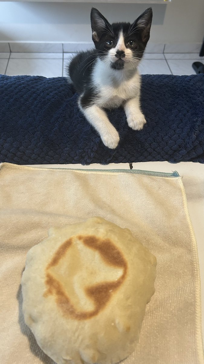 ✴︎𒀱✴︎ ge tweet media