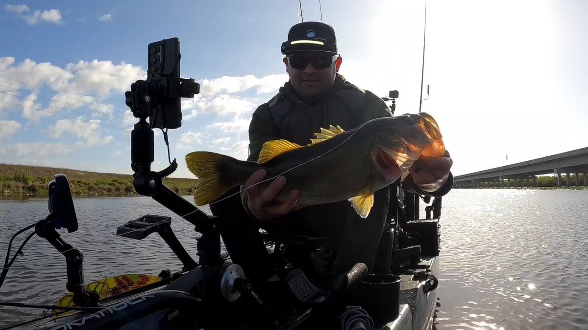 NicholasBeltr17's tweet photo. Chilly morning trip in 8th street kayak fishing all morning with nice catches.
#kayakfishing #p127 #largemouthbass #everglades https://t.co/Lo5CDbQNFn