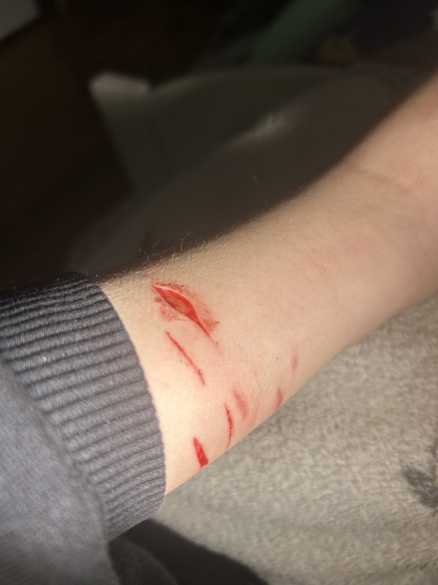 illiisions; shtwt tweet media