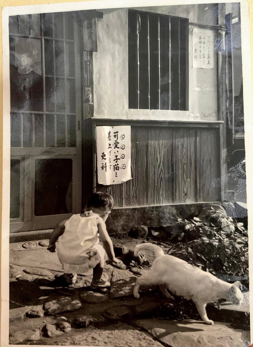 神田錦町更科 tweet media