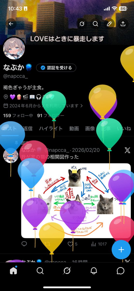 なぷか🪼 tweet media