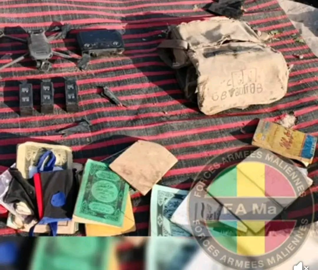 BoneAlpha tweet media