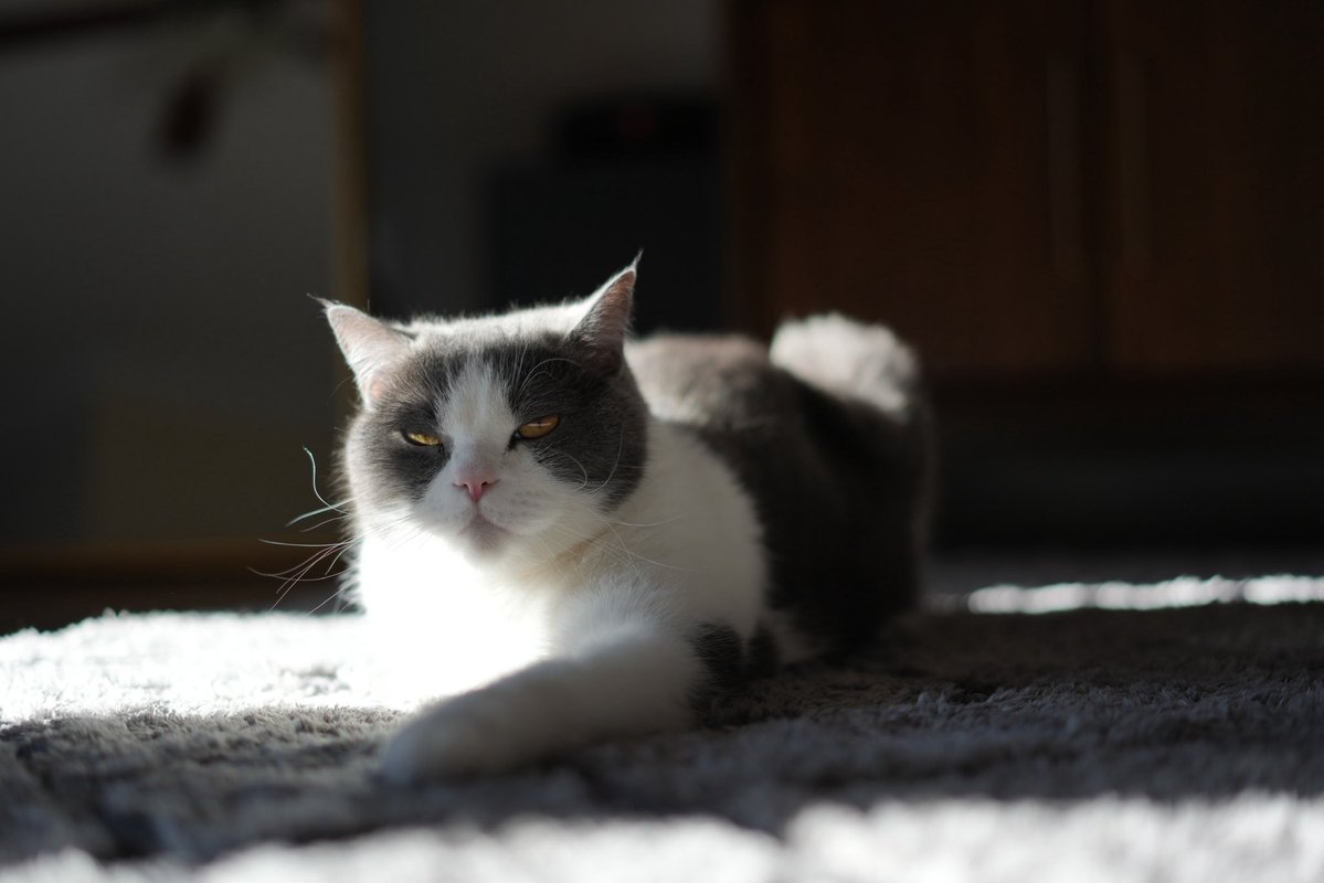 Ruby 🇺🇸 tweet media