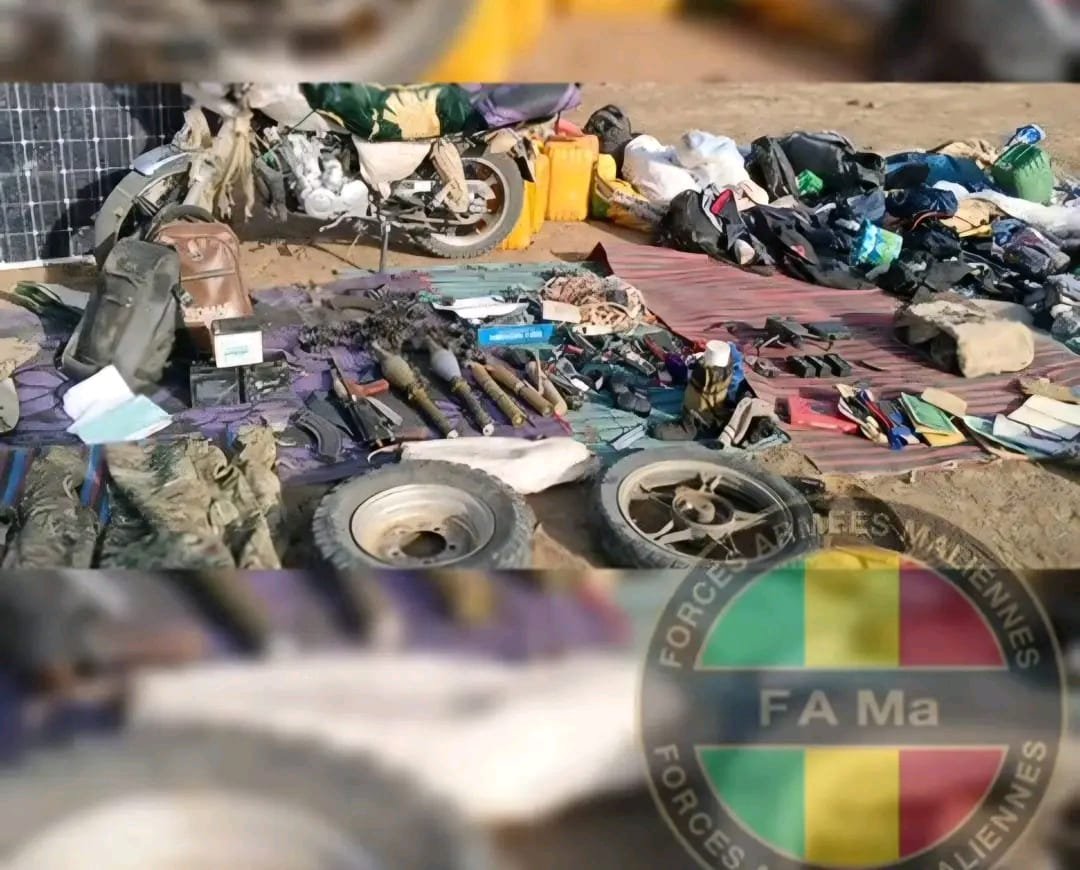 BoneAlpha tweet media