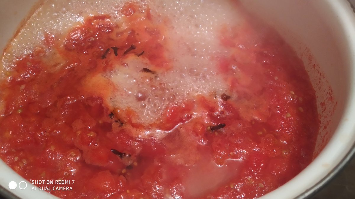 @Carlotta🐾💕 tweet media