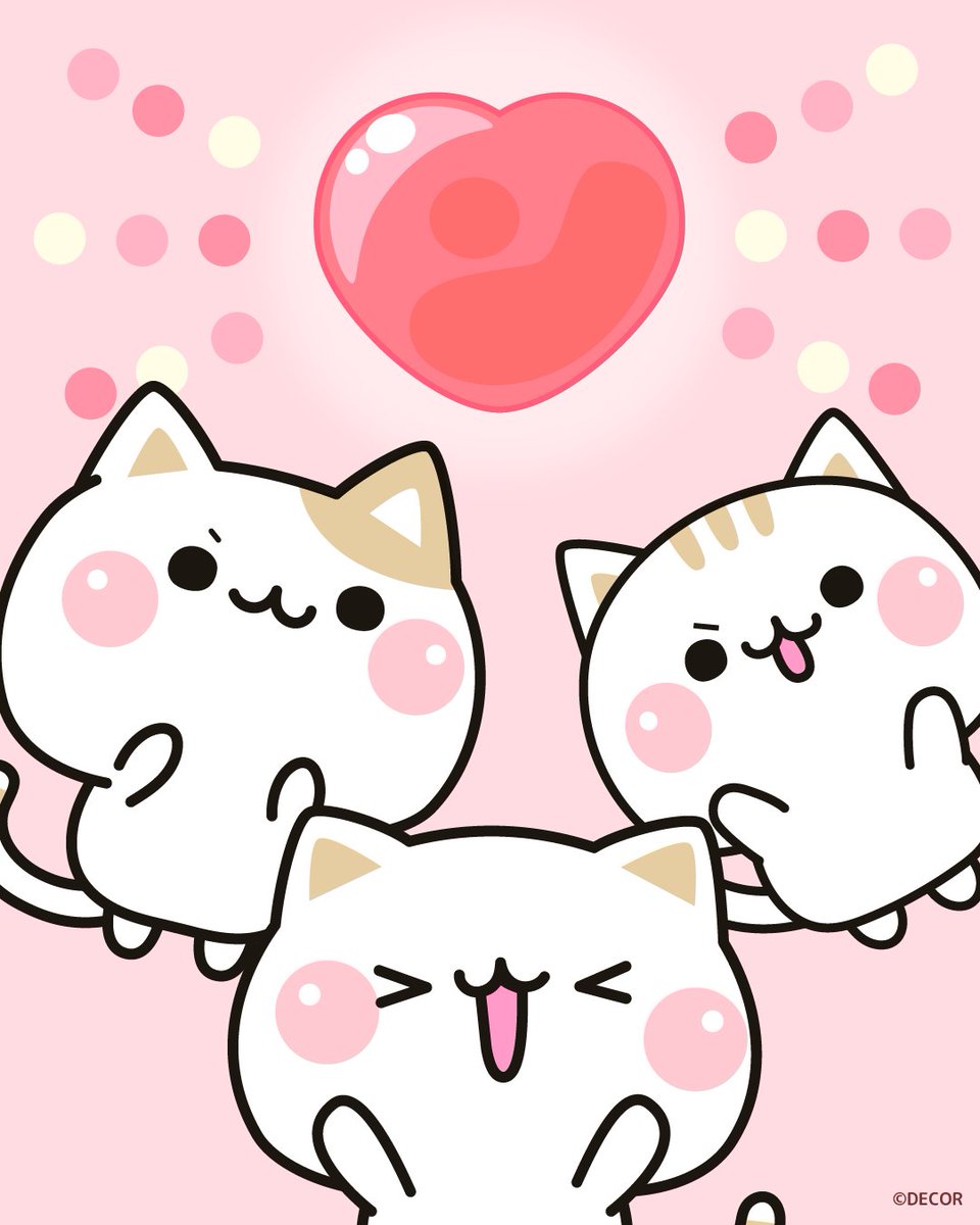 気づかいのできるネコ【DECOR】 tweet media