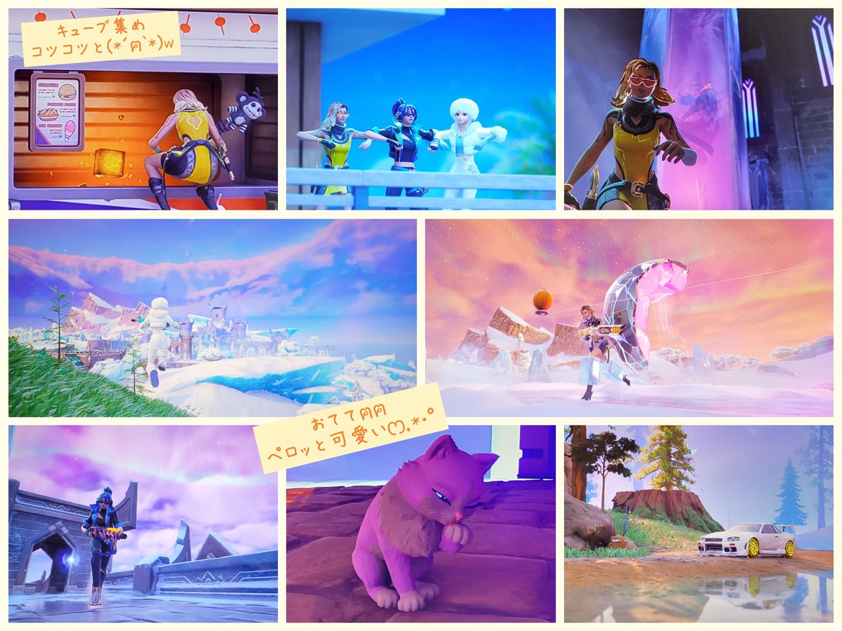 ころころポン太🏡 tweet media