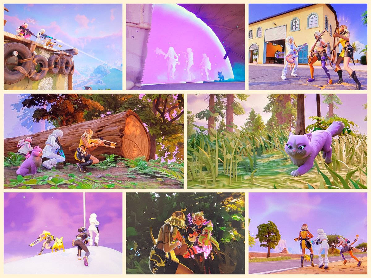 ころころポン太🏡 tweet media