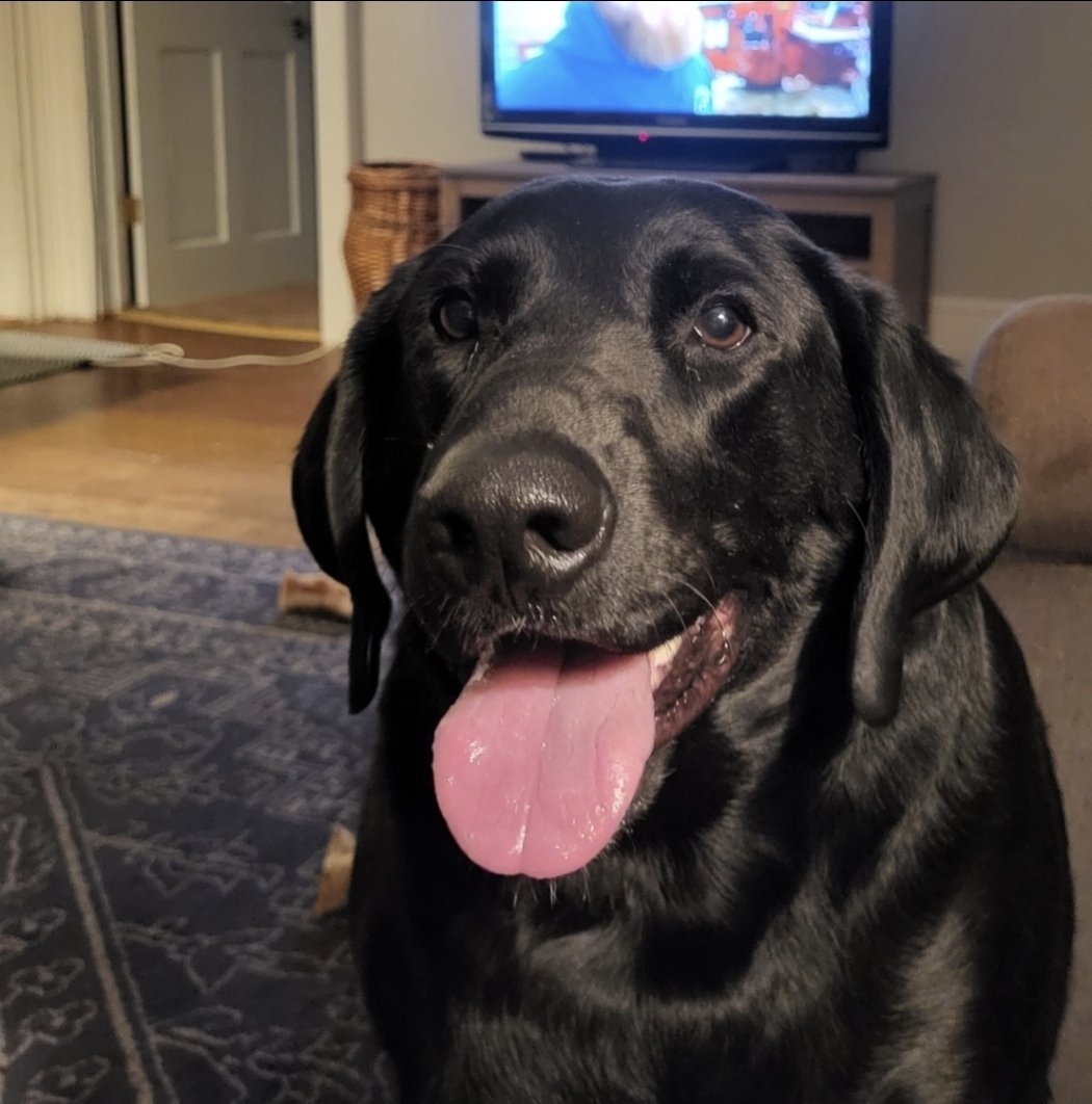 Steve Strasheim tweet media