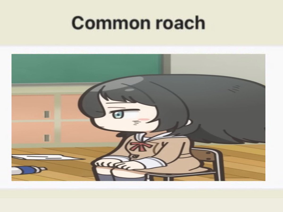 leland 💤 tweet media