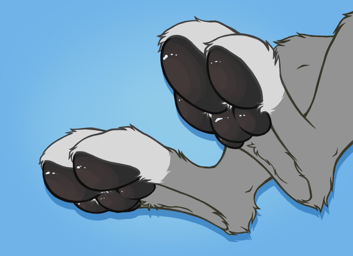 Oreo Kangy🦘🇨🇦 tweet media