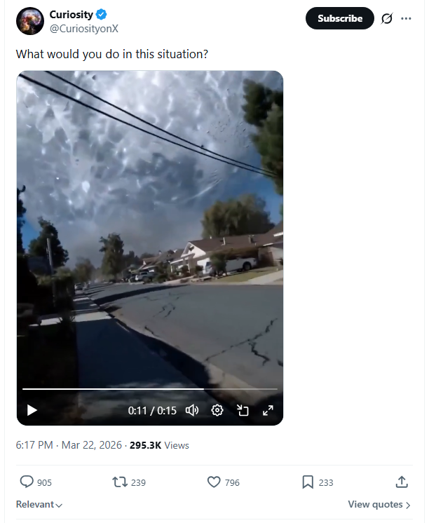 Sacred Cow Shipyards tweet media