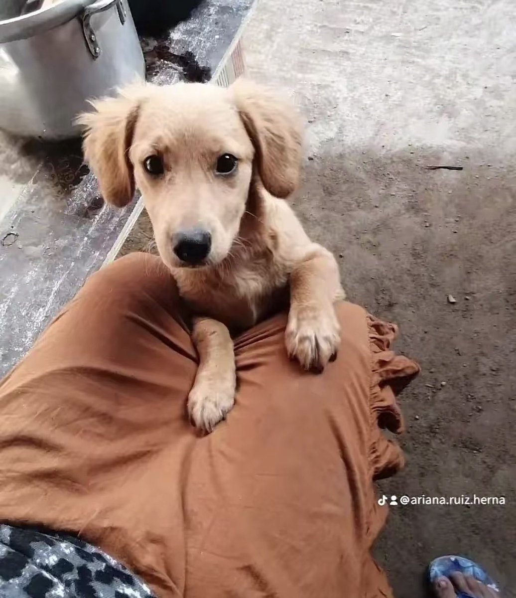 Nad (she/her/ella) tweet media