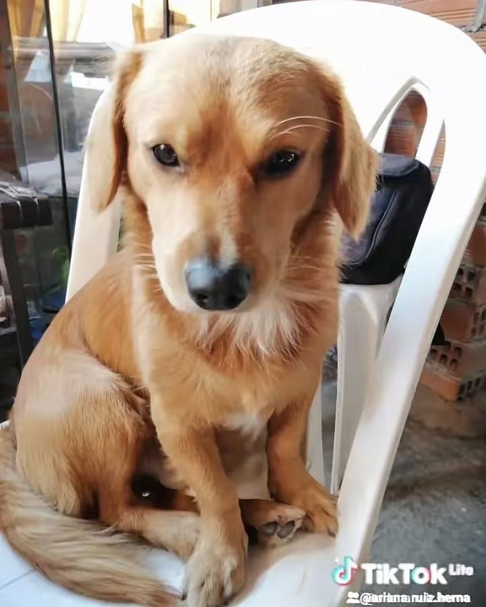 Nad (she/her/ella) tweet media