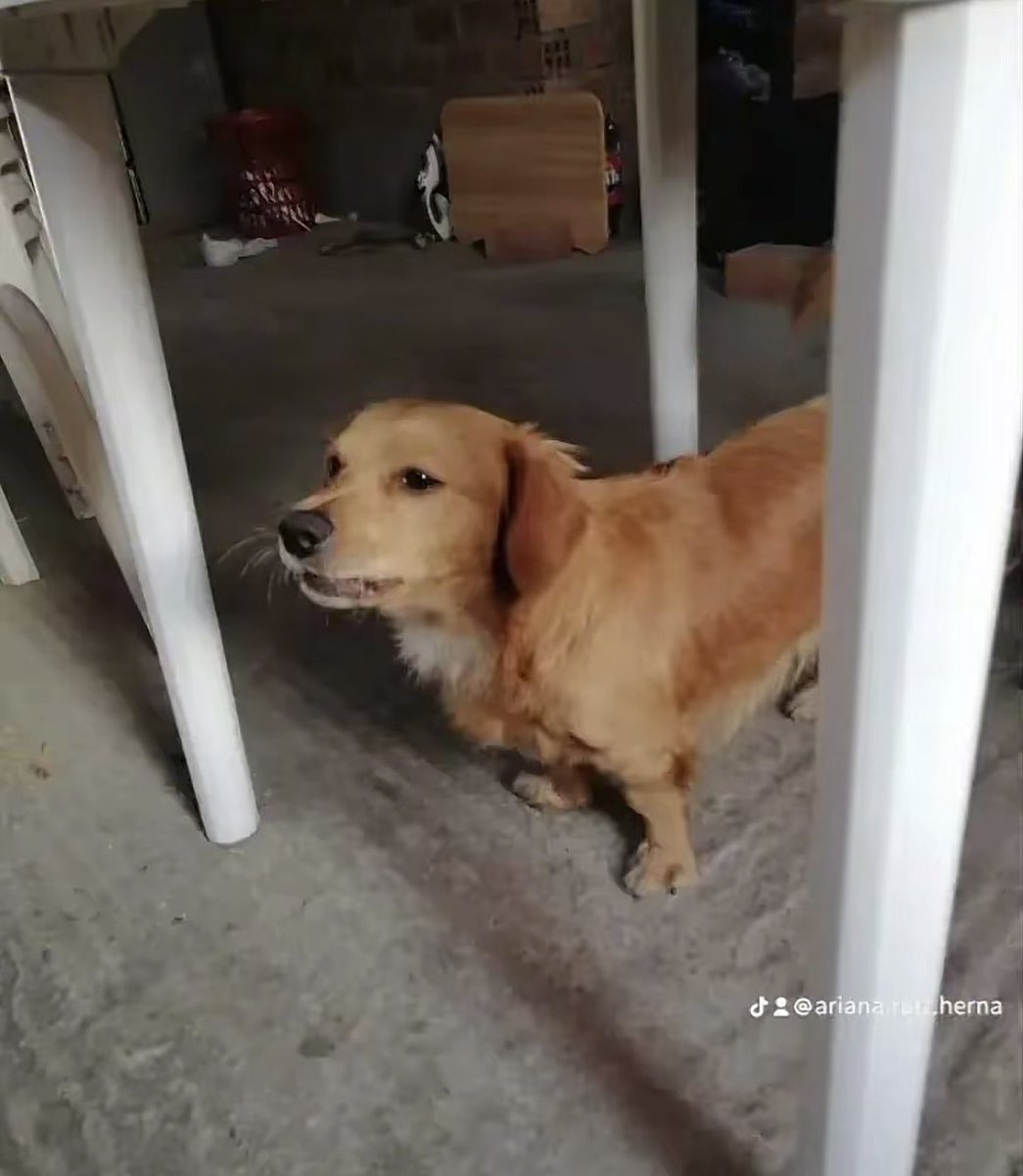 Nad (she/her/ella) tweet media