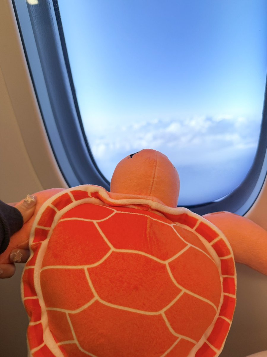 FRUITS ZIPPER【Official】 tweet media