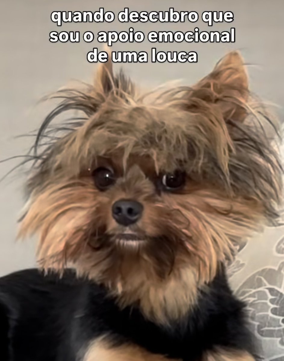 Aly | POLIN S5💌 tweet media