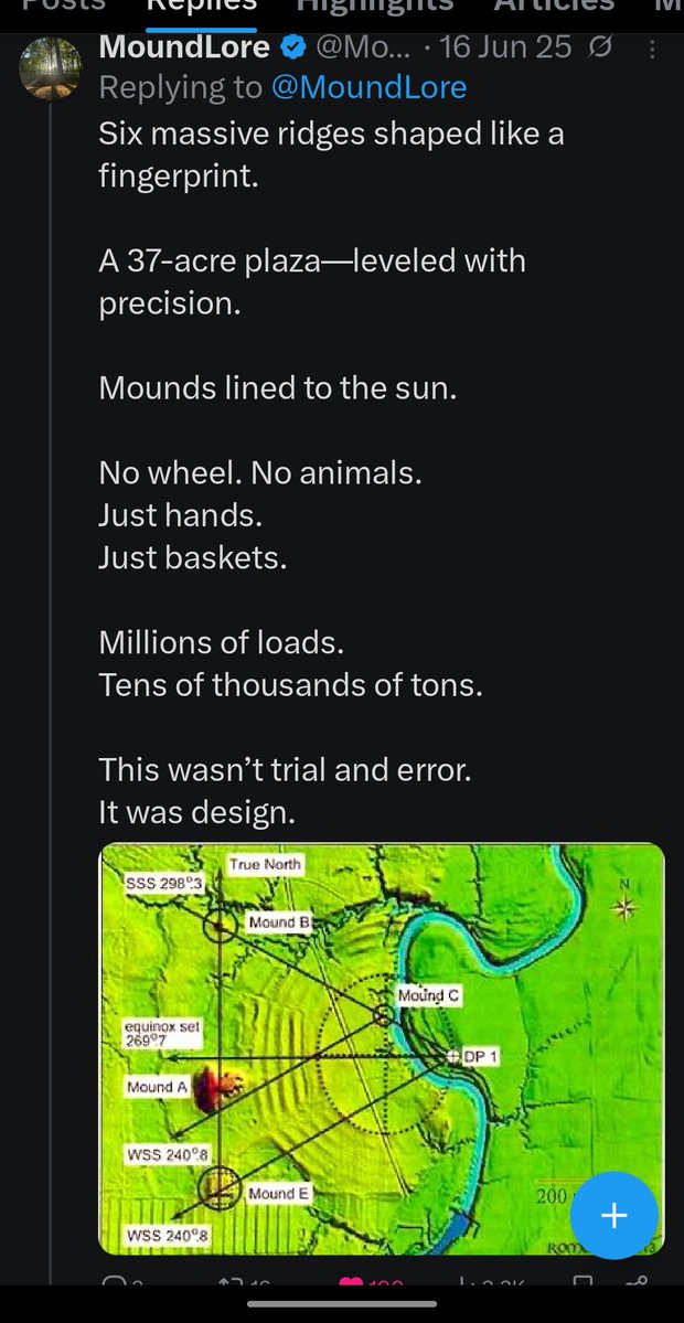 Blue Canaries (Publius) tweet media