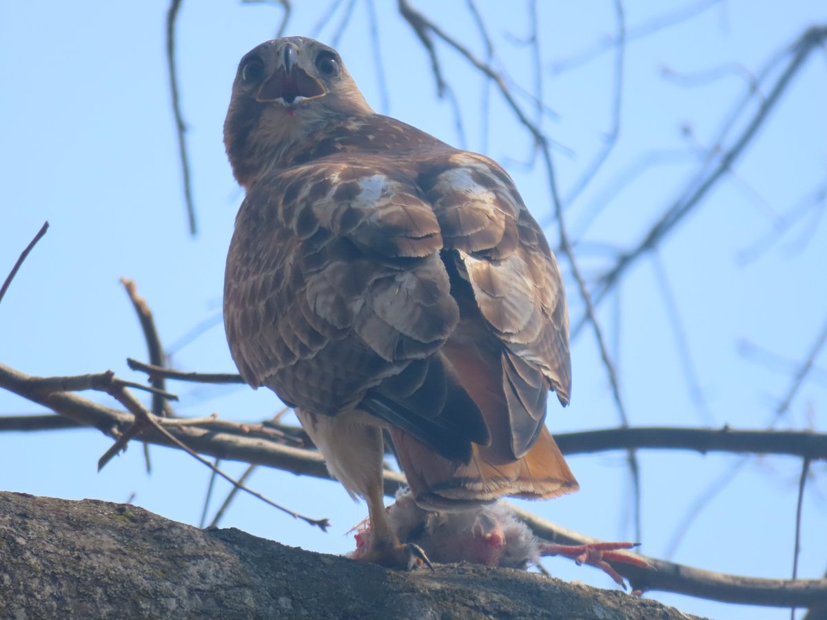 Alexandra Wang tweet media