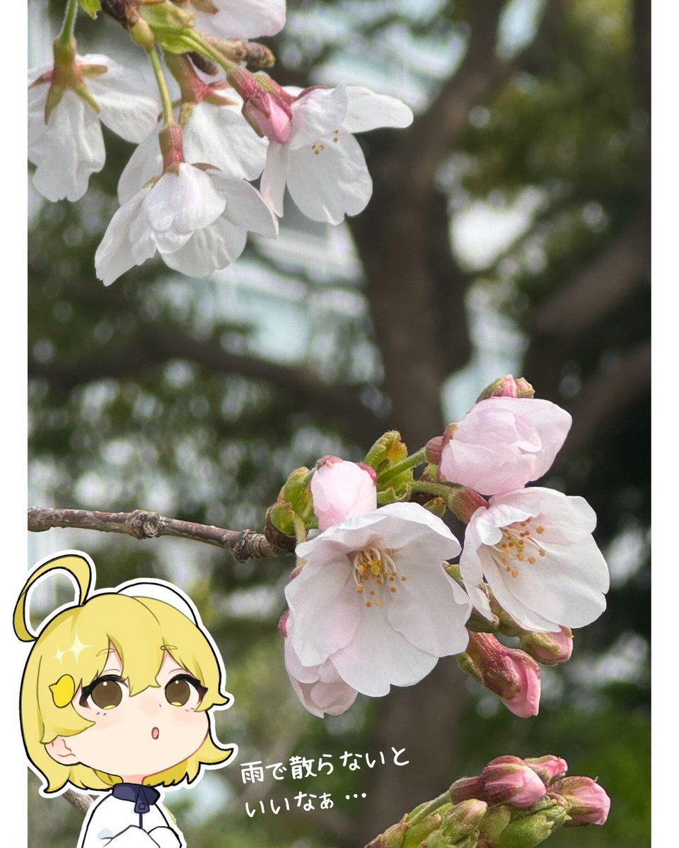 コンパス【公式】｜J庭59/企業12 tweet media