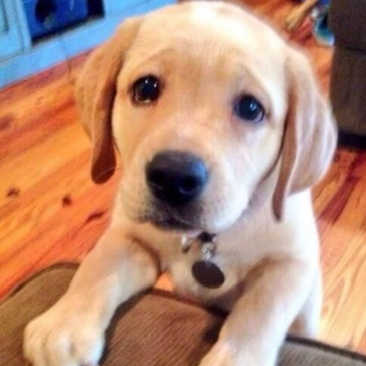 chair🌷⋆˚ ʚїɞ tweet media