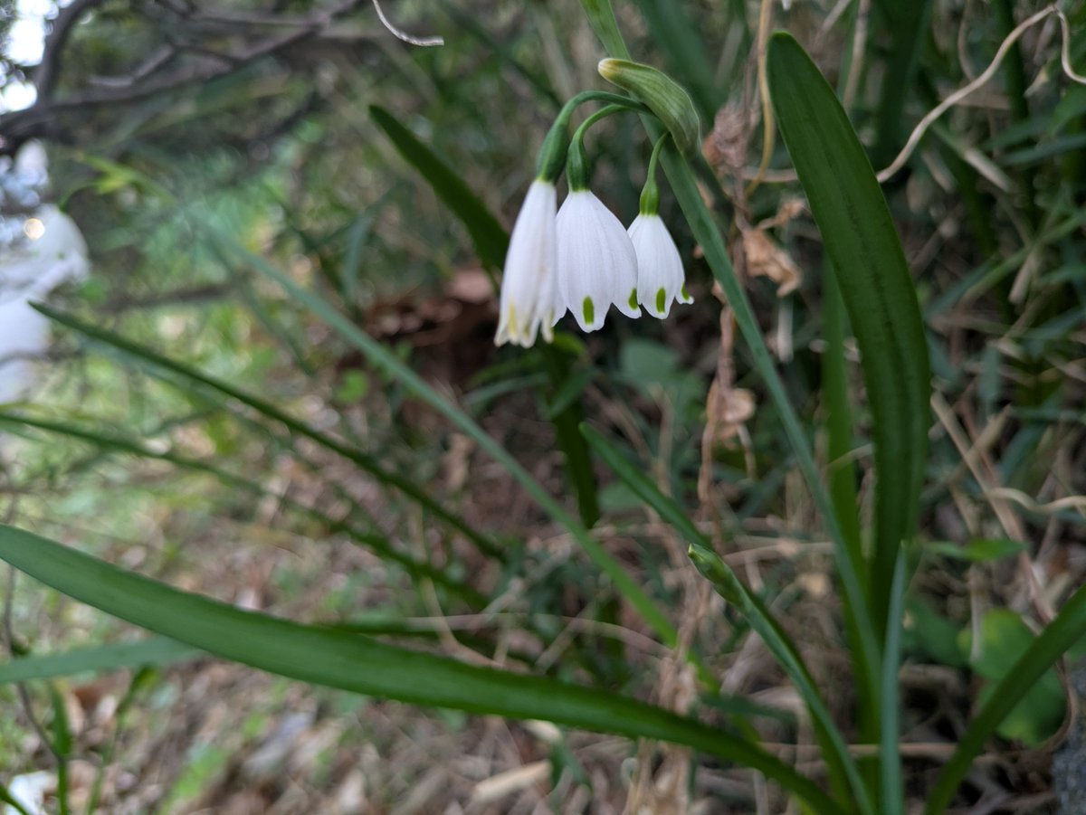 武蔵野ワークス tweet media