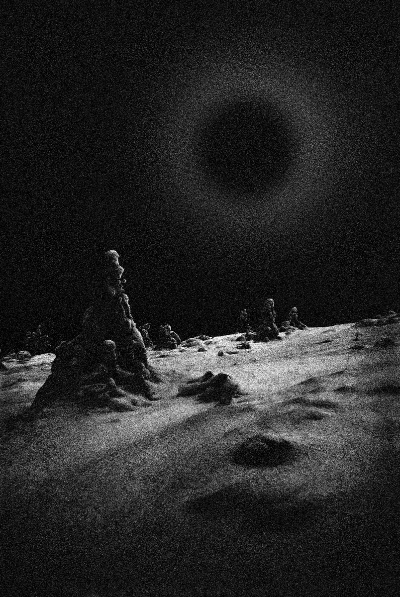 Entropy Games tweet media