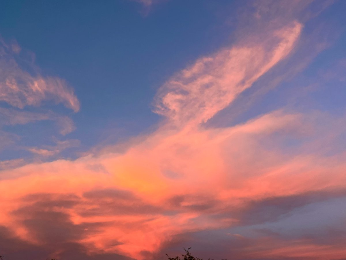 H.C. Fountain tweet media