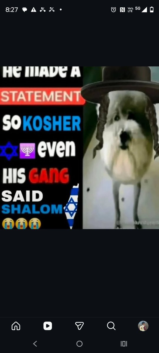 elpapugrasoso🔜❓ tweet media