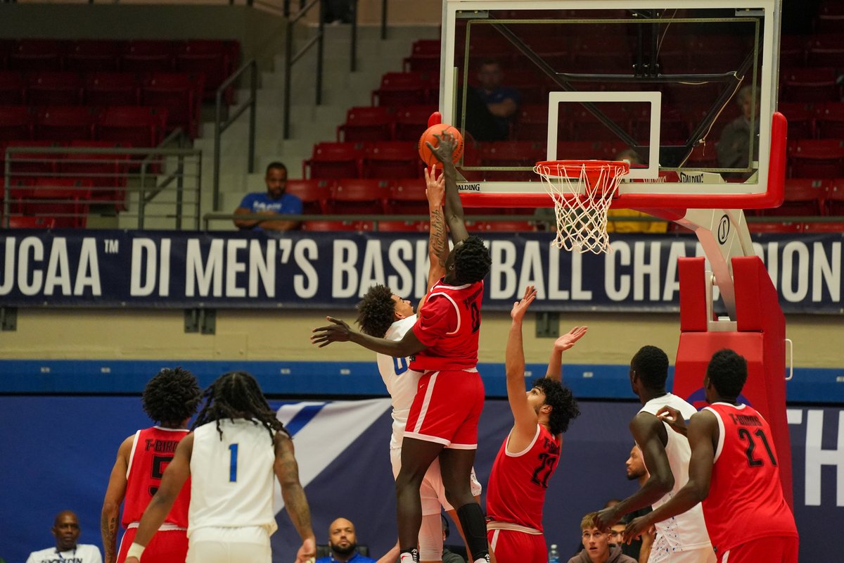 New Mexico Junior College Athletics tweet media