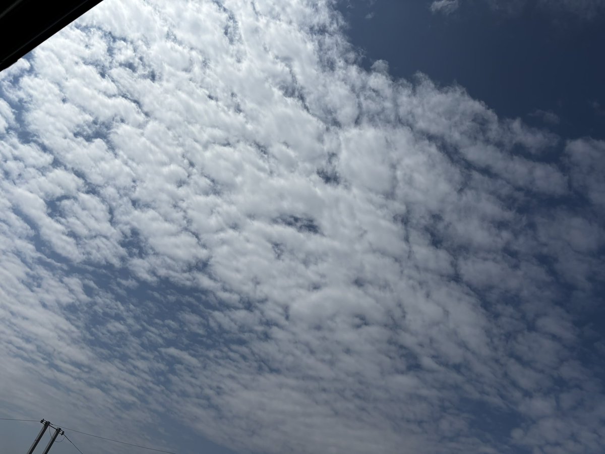 ユリイカ tweet media