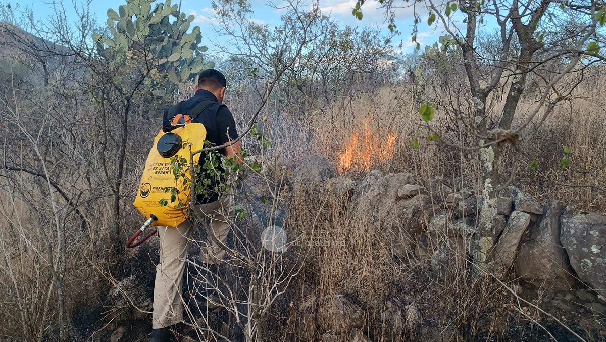 Coordinación de Protección Civil del Estado de Qro tweet media