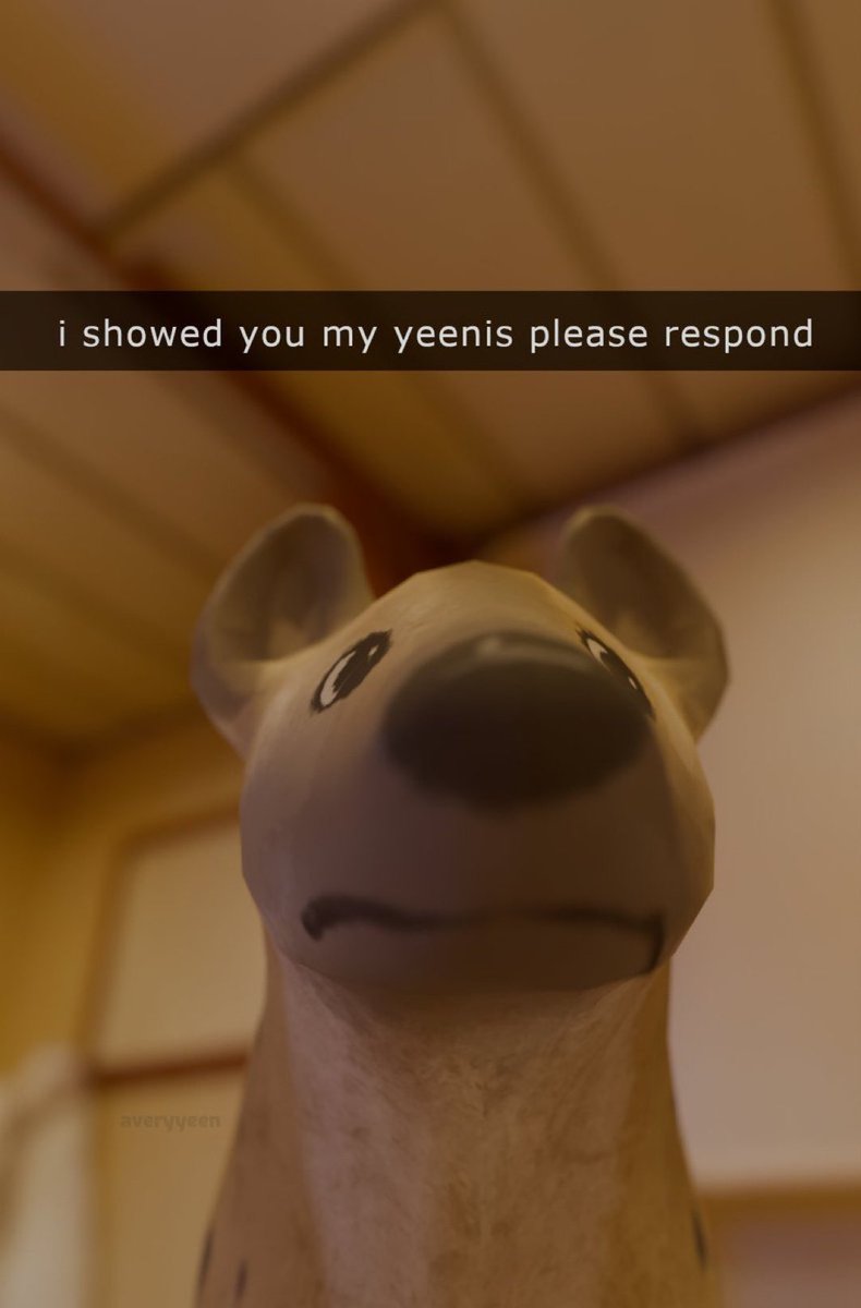 sean ⚙️ tweet media