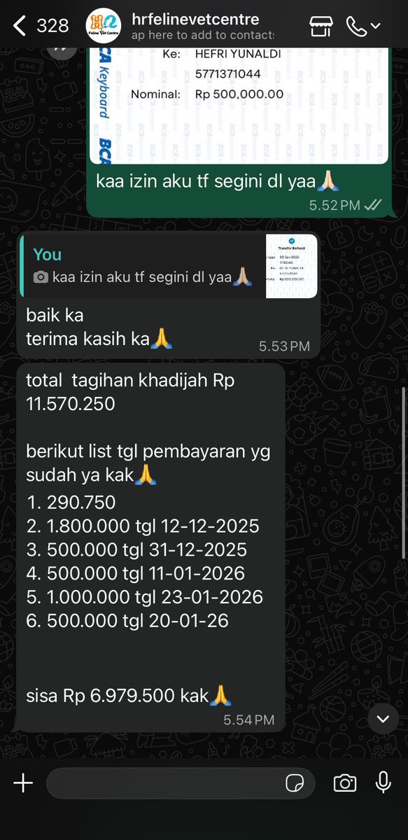 catto favo tweet media