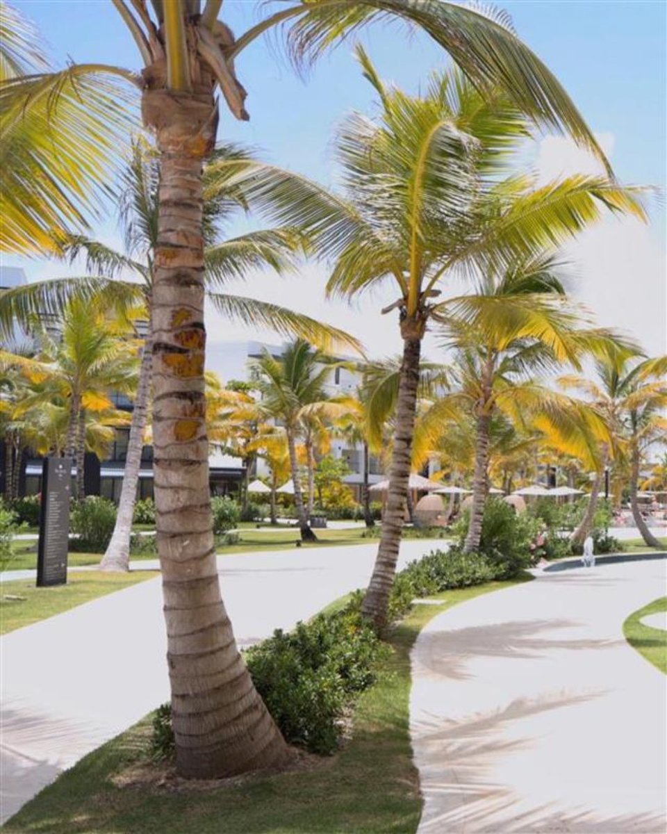 Secrets Resorts & Spas tweet media