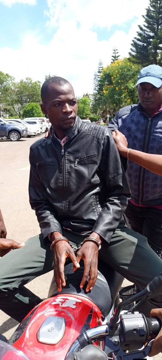 𝙋𝘼𝙐𝙇 tweet media